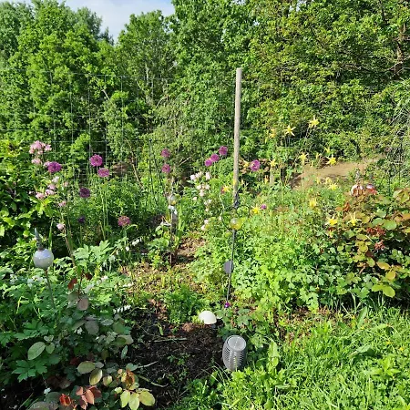 Janischhof 48 Casa vacanze Sankt Margarethen an der Raab