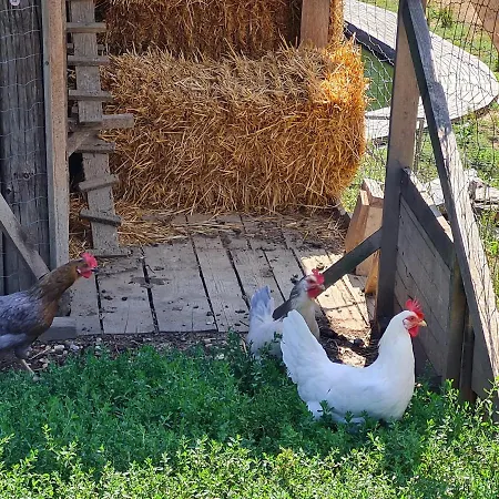 Janischhof 48 * Sankt Margarethen an der Raab