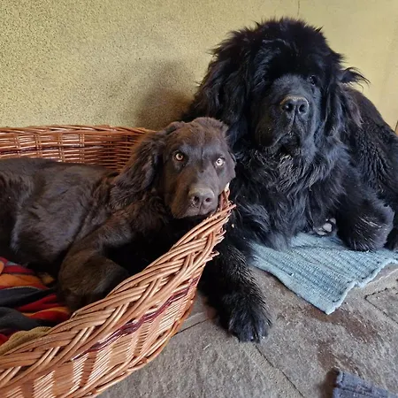 Janischhof 48 Casa vacanze Sankt Margarethen an der Raab