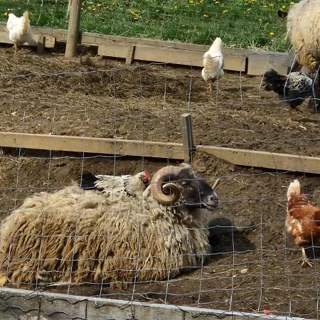 بيت للعطل Janischhof 48 *