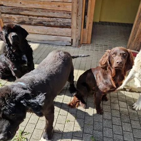 Janischhof 48 بيت للعطل Sankt Margarethen an der Raab