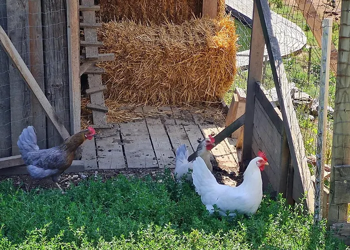 Janischhof 48 * Sankt Margarethen an der Raab