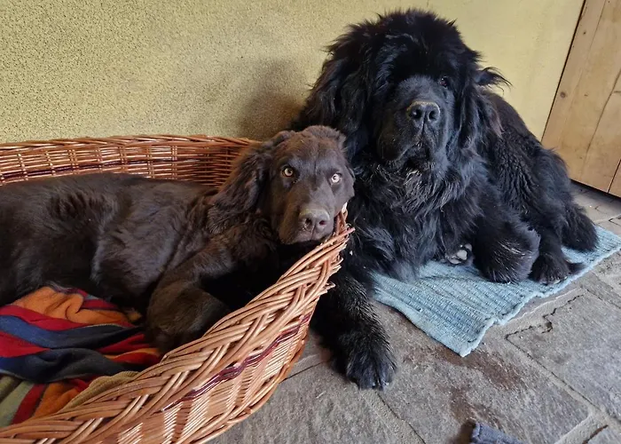 Janischhof 48 Dom wakacyjny Sankt Margarethen an der Raab