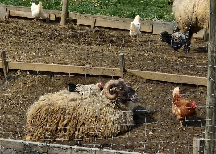 度假居 Janischhof 48 *