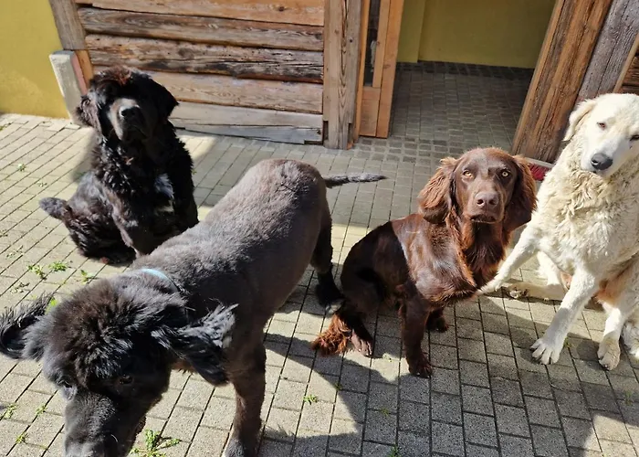 Janischhof 48 Dom wakacyjny Sankt Margarethen an der Raab